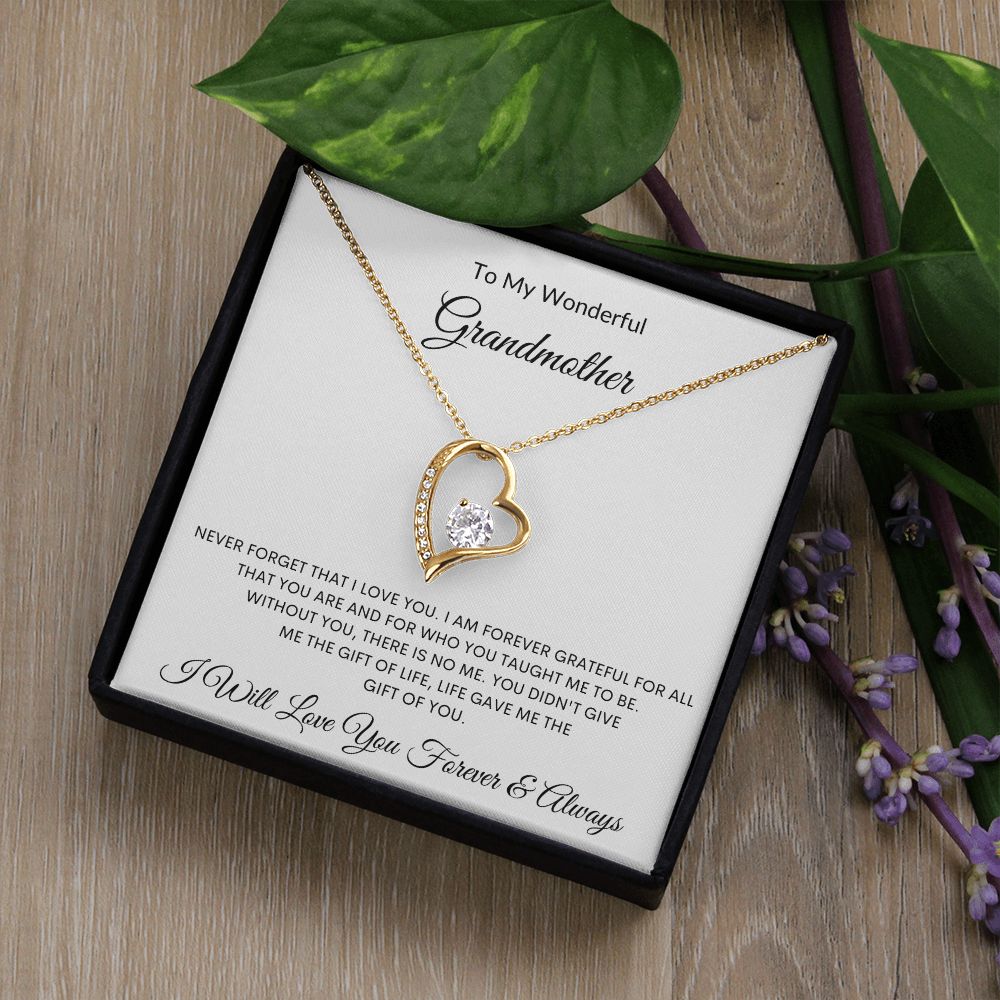 To My Wonderful Grandmother | Forever Love Necklace